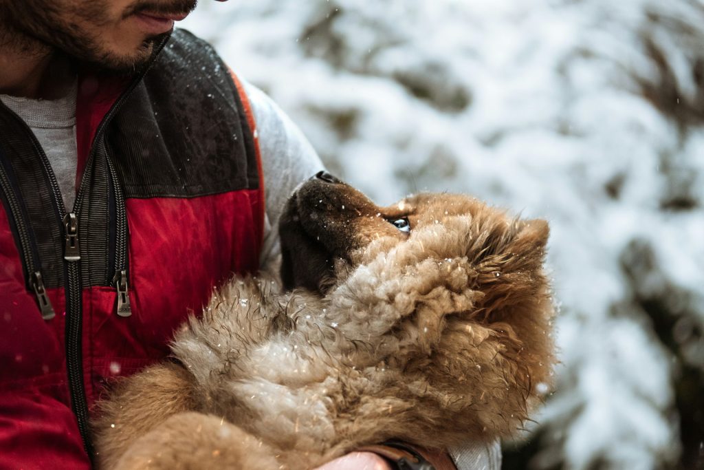 man in black jacket holding brown dog